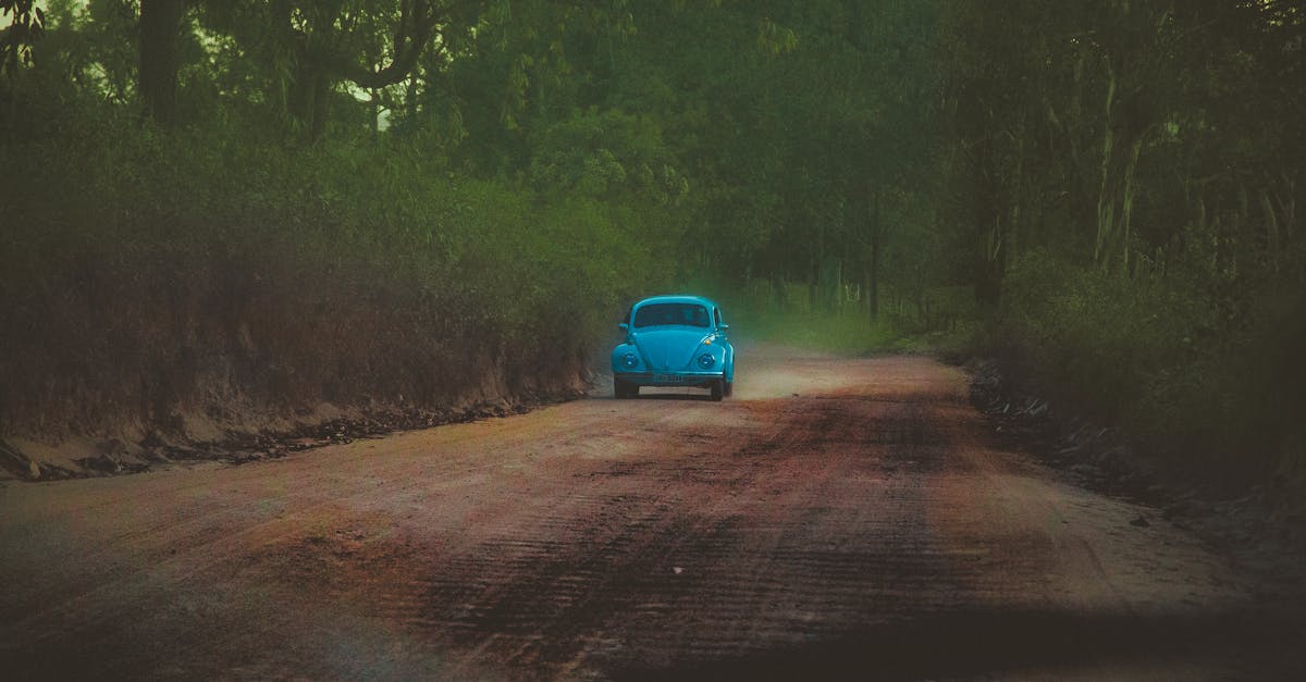 ¿Cómo puedo optimizar mis ingresos para reducir la carga fiscal?