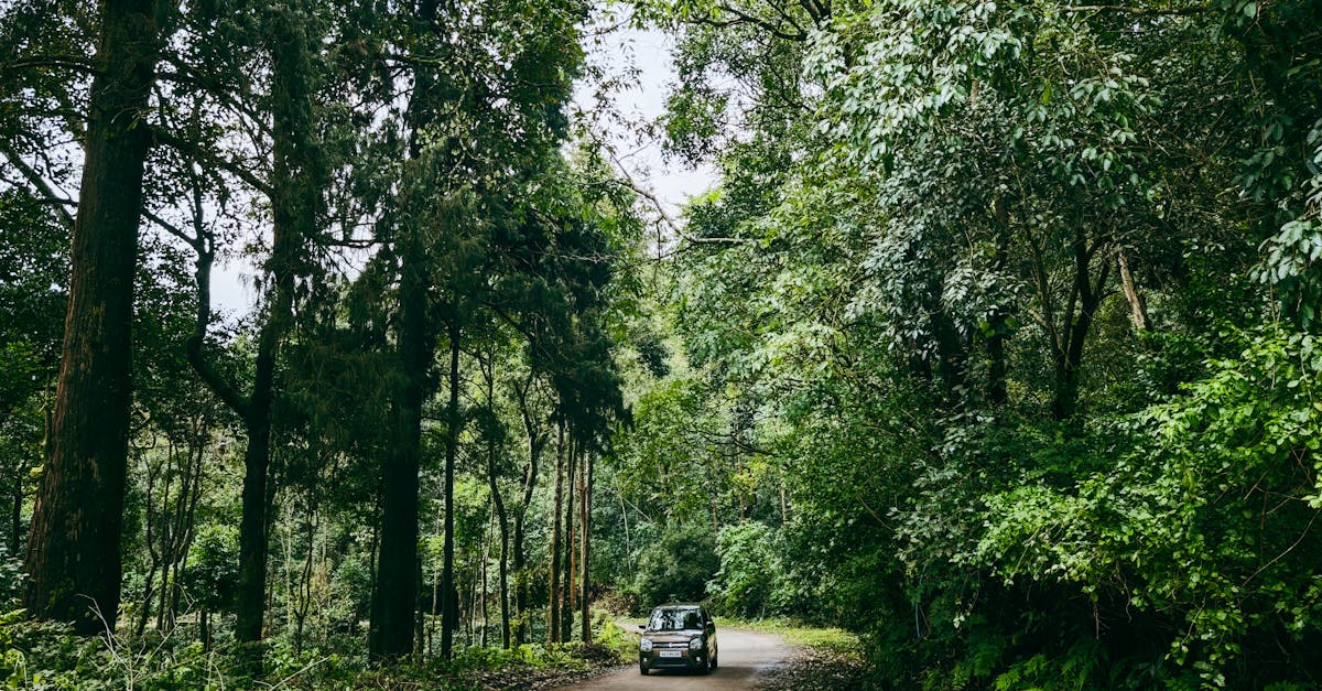 ¿Cómo afecta la depreciación del coche al costo total de propiedad?
